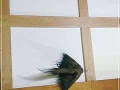 -庶民居中餐馆(温江店)