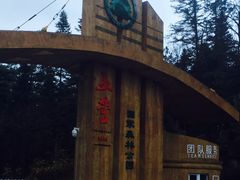 -五营红松林海景区