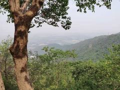-香山公园