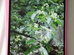 android_upload_pic-严子陵钓台(富春江小三峡)