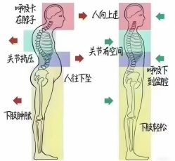 -炼炼有意思·瑜伽·普拉提
