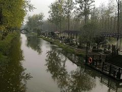 -合肥滨湖国家森林公园