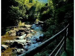 -余姚四明湖开元名都度假酒店·夏威夷西餐厅