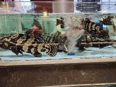 -阿伟海鲜楼·福建菜(延寿店)