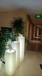 -东英经典SKIN&SPA