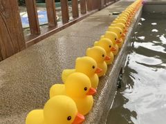 -思念果岭悦温泉