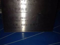 -紫峰大厦
