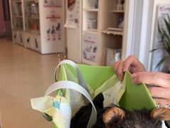 -哆趣宠物医院·眼科·内镜·急重症转诊中心(上海店)