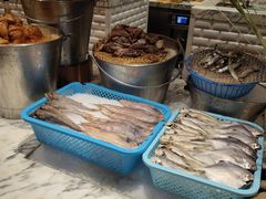 -沈阳和平艾美酒店新食谱西餐厅