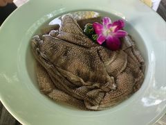 大刀鲜毛肚-凤来栖·净庭院·火锅(欧尚店)