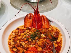 麻婆豆腐煮龙虾-樱苑(四川北路店)