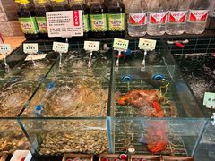 -黄山老妈·土菜(碧桂园店)