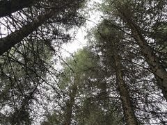 -新疆那拉提国家旅游度假区