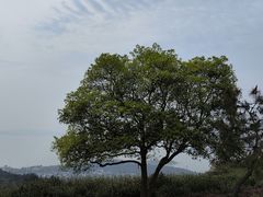 -东山风景区(洞庭东山)