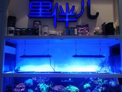 -KIDults童伴儿亲子餐厅(达美中心广场店)