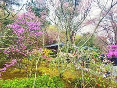 -天龙寺