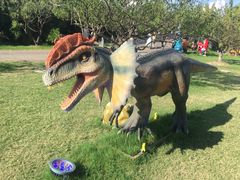 -上海海湾国家森林公园