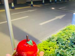 -GANSO元祖食品(沪青平店)