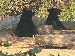 -北京野生动物园