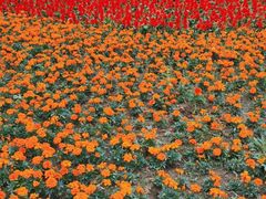 -长春公园(普阳街道)