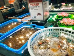-盒马鲜生(文景博乐里购物广场店)