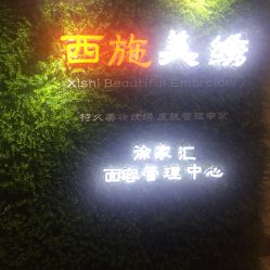 点击看大图 -西施无菌半永久纹绣眉眼影唇轻增发纹发际线