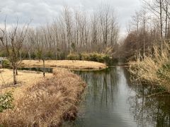 -溱湖国家湿地公园