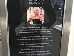 -Tiffany & Co.蒂芙尼
(广州太古汇店)