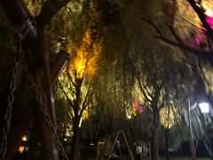 -羊亭河湿地公园