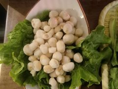 野生珍珠马蹄-鲜潭蒸汽石锅鱼(五道口购物中心店)