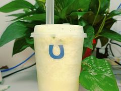 -春丽小马(济南恒隆广场店)