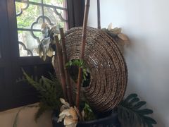 -碧丽宫大酒店(召稼楼店)