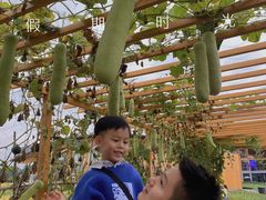 -中国天府农业博览园