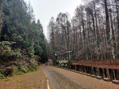 -山王坪喀斯特国家生态公园