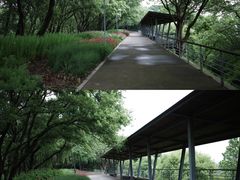 -西湖风景区-江洋畈生态公园