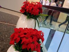 -万达广场(北京槐房店)