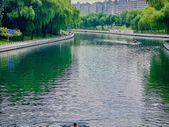 -南长河公园