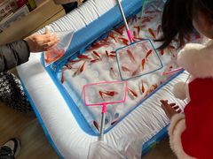 -立城苑小金星幼儿园