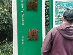 -野象谷景区