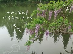 -八卦田遗址公园