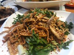 -曾牛肉