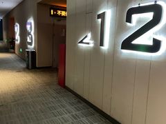 -汉阳天河电影城(王家湾店)