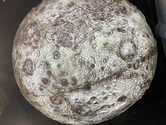 -辽宁古生物博物馆