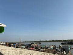 -大湾区中央湿地公园-十九涌