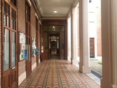 -香港大学
