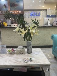 -SOLO Hair Salon