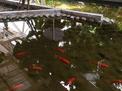 -红栌温泉山庄生态美食餐厅