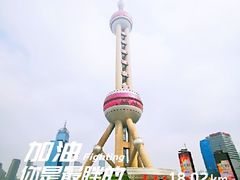 -真老大房鲜肉月饼(南京路步行街店)