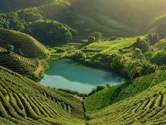 -龙坞茶村