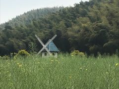 -宁波浙东大竹海景区